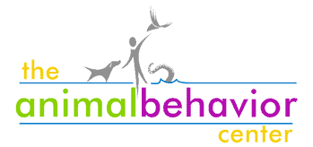 newsletter of the animal behavior