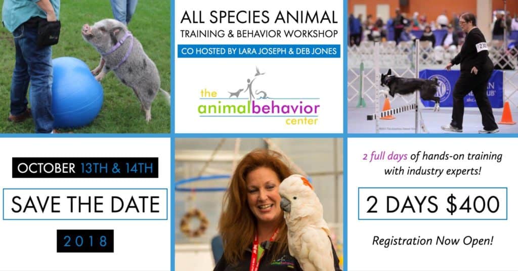 All Species Animal Training and Behavior Workshop - The Animal Behavior ...