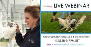 Reinforcers-Reinforcement-Identification_Webinar-300x157