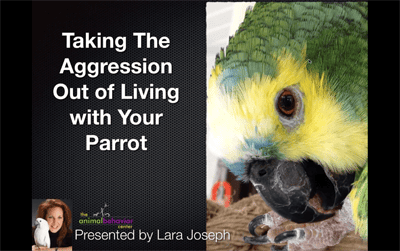 Taking the aggression out of living with your parrot Taking the aggression out of living with your parrot