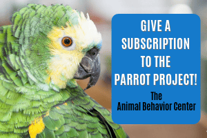 gifts for parrot lovers