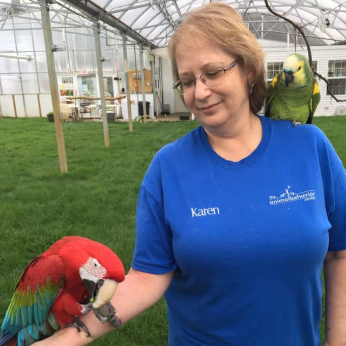 Meet the staff and volunteers at The Animal Behavior Center