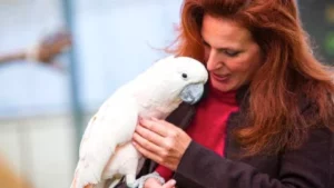 Lara Joseph, owner of The Animal Behavior Center, where she teaches animal behavior, training, and enrichment