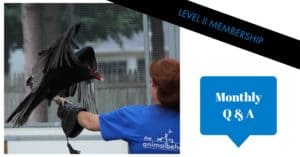 level-2-monthly-qa-300x157