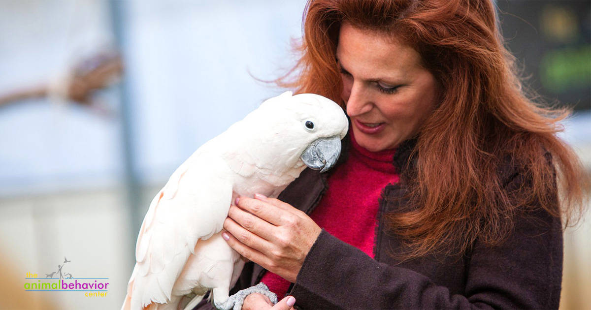 The Animal Behavior Center