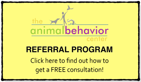 get a free animal training consultation