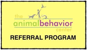 animal behavior and training consultation