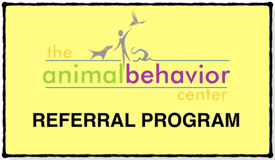 animal training consultation