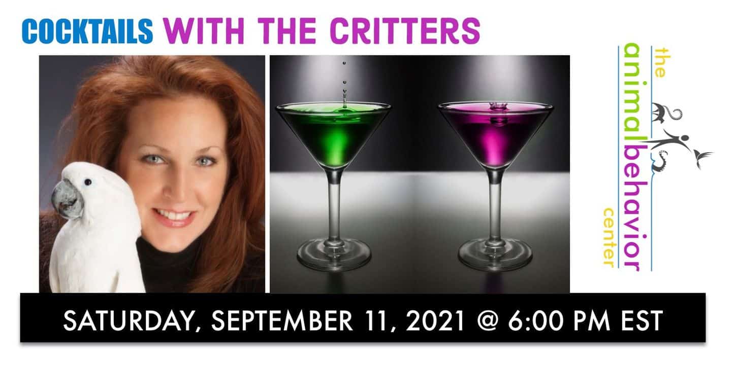 Cocktails-with-the-critters-graphic-911