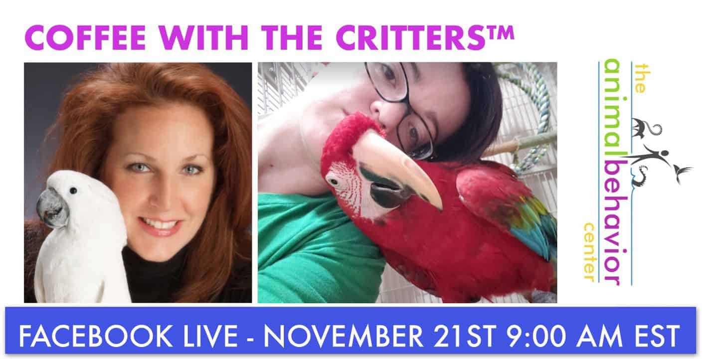 CWTC-lynsie-robbins-graphic