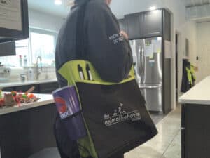 ABC-tote-1-300x225