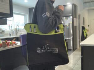 ABC-tote-3-300x225