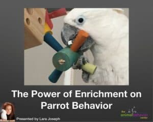The Power of Enrichment