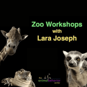 Zoo workshops for animal trainers