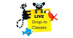 drop in classes
