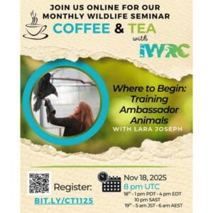 Coffee & Tea with IWRC.
