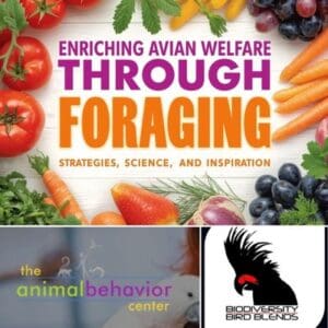 Enriching Avian Welfare Through Foraging.