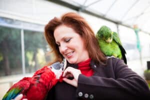 Parrot behavior consultation for biting, screaming, cage aggression, and training help