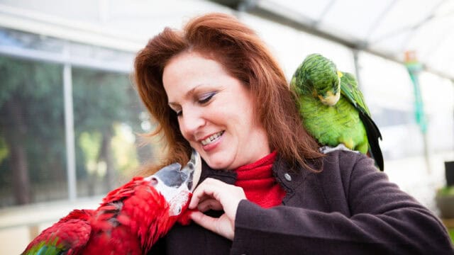 Parrot behavior consultation for biting, screaming, cage aggression, and training help