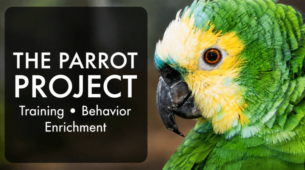 The Parrot Project online membership for parrot training, behavior, and enrichment